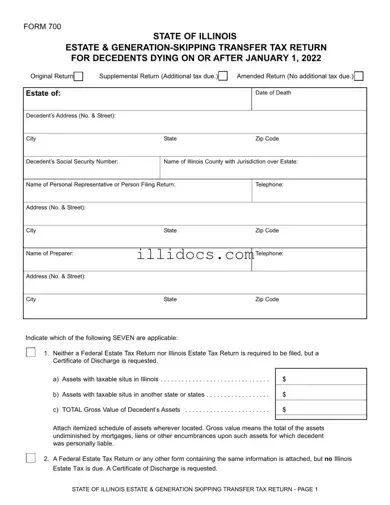 Fillable Illinois 700 Template in PDF