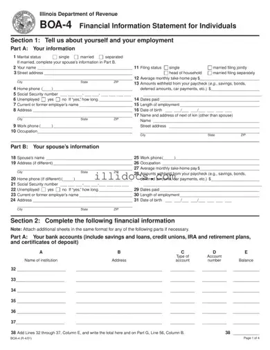 Fillable Illinois Boa 4 Template in PDF