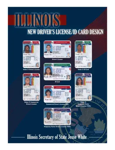 Fillable Illinois Drivers License Template in PDF