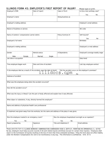 Fillable Illinois First Report 45 Template in PDF